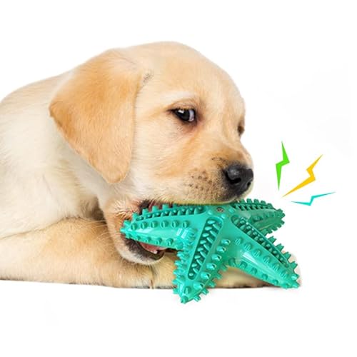Chichenshangwu Hundespielzeug für Aggressive Kauer, Zahnbürstenspielzeug, langlebig, quietschend, interaktives Seestern-Welpenspielzeug für kleine, mittelgroße und große Rassen (Hellblau) von Chichenshangwu