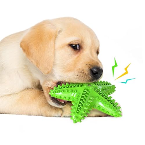 Chichenshangwu Hundespielzeug für Aggressive Kauer, Zahnbürstenspielzeug, langlebig, quietschend, interaktives Seestern-Welpenspielzeug für kleine, mittelgroße und große Rassen (grün) von Chichenshangwu