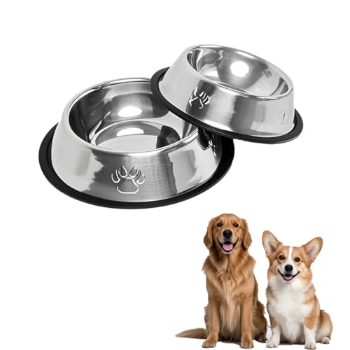 Futternäpfe aus Edelstahl, Futternäpfe für Katzen, Kätzchen-Teller mit Rutschfester Gummiunterseite, kleine Futternäpfe und Wassernäpfe, 2 Stück (M-22 cm) von Chichenshangwu