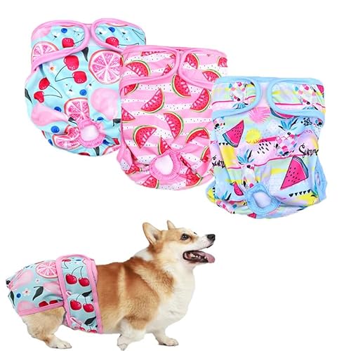 Windeln für Hündinnen, waschbare Damenwindeln für Hunde, Welpen, Wiederverwendbare Windeln, super saugfähige Hundewindeln für kleine, mittelgroße und große Inkontinenz, Größe M, 3 Stück Windeln für Hündinnen, waschbare Damenwindeln für Hunde, Welpen, Wiederverwendbare Windeln, super saugfähige Hundewindeln für kleine, mittelgroße und große Inkontinenz, Größe M, 3 Stück von Chichenshangwu