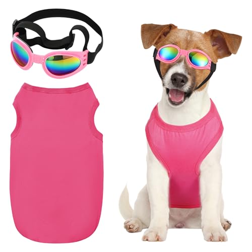 Chicingyou 2-teiliges Hunde-Halloween-Kostüm, inklusive rosafarbener Hundebrille, Halloween-Kostüm, Zubehör für Welpen, Geburtstagsparty, Abstufung (Größe XL) von Chicingyou