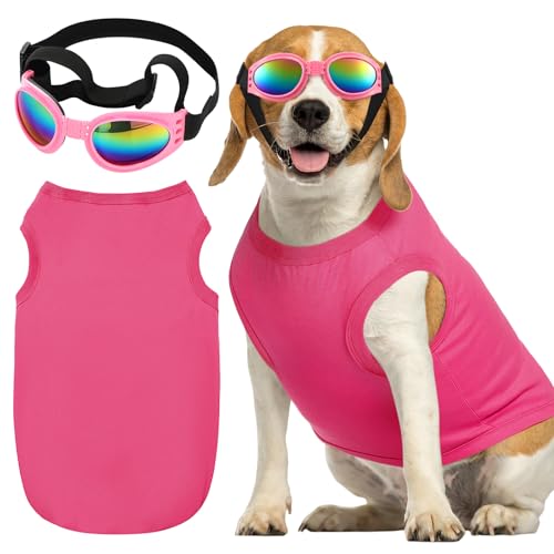 Chicingyou 2-teiliges Hunde-Halloween-Kostüm, inklusive rosafarbener Hundebrille, Halloween-Kostüm, Zubehör für Welpen, Geburtstagsparty, Abstufung (XXL) von Chicingyou