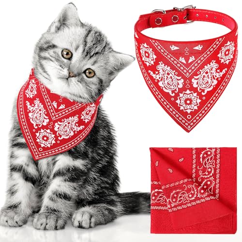 Chicingyou Hundehalstuch, Halsband & Damen und Herren, Marsch-Stirnband-Set, Hundehalstücher für kleine Hunde, Mädchen, Jungen, Welpen, Katzen, verstellbares Cowboy-Halsband mit von Chicingyou