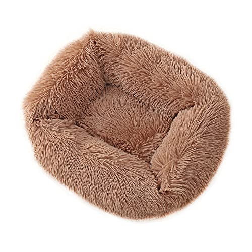 Chickwin Hundebett Hundekissen Flauschiges Plüsch Warmer Donut Katzenbettfür Katzen Und Kleine Mittelgroße Hunde Waschbar Haustierbett (M(65X55X18CM),Hellbraun) von Chickwin