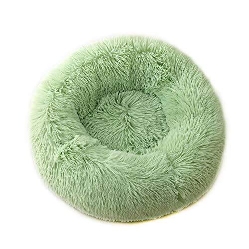 Chickwin Hundebett Rund Hundekissen Flauschiges Plüsch Warmer Donut Katzenbettfür Katzen Und Hunde Waschbar Haustierbett (Grün,60cm) von Chickwin