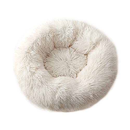 Chickwin Hundebett Rund Hundekissen Flauschiges Plüsch Warmer Donut Katzenbettfür Katzen Und Hunde Waschbar Haustierbett (Weiß,60cm) von Chickwin