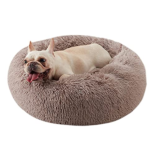 Chickwin Rund Hundebett für Hunde und Katzen, Warm Weich Katzenbett Donut Plüsches Bett, Waschbar rutschfest Base Haustierbett für Kleine, Mittelgroße und Große Hunde (120CM,Hellbraun) von Chickwing