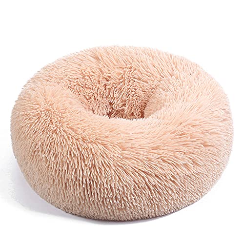 Chickwin Rund Hundebett für Hunde und Katzen, Warm Weich Katzenbett Donut Plüsches Bett, Waschbar rutschfest Base Haustierbett für Kleine, Mittelgroße und Große Hunde (Aprikose,120CM) von Chickwing