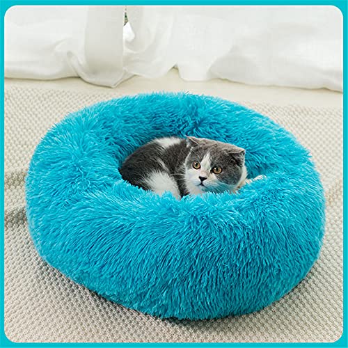 Chickwin Rund Hundebett für Hunde und Katzen, Warm Weich Katzenbett Donut Plüsches Bett, Waschbar rutschfest Base Haustierbett für Kleine, Mittelgroße und Große Hunde (Blau,120CM) von Chickwing