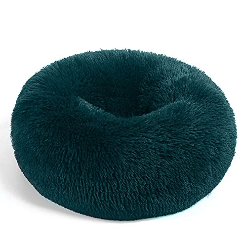 Chickwin Rund Hundebett für Hunde und Katzen, Warm Weich Katzenbett Donut Plüsches Bett, Waschbar rutschfest Base Haustierbett für Kleine, Mittelgroße und Große Hunde (Cyan,100CM) von Chickwing