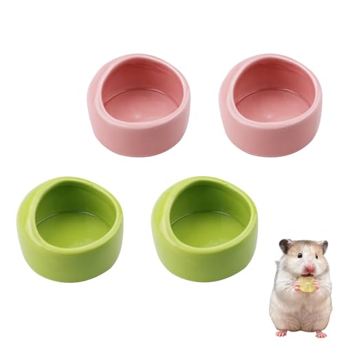 Keramik-Napf für Hamsterfutter, Futterschale für Eichhörnchen, Igel, Hamsterkäfig-Zubehör, Rosa, Grün, 4 Stück Keramik-Napf für Hamsterfutter, Futterschale für Eichhörnchen, Igel, Hamsterkäfig-Zubehör, Rosa, Grün, 4 Stück von Chihutown