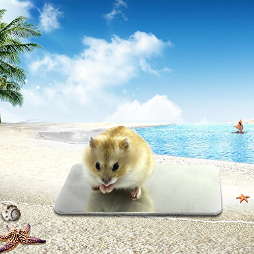 Childlike Kühlmatte für Kleintiere, Kühlkissen Kleintiere Kühlplatte Meerschweinchen, 10 x 6 cm, Kühlbrett für Haustiere, Kühlkörper, Hamster-Kaninchen, Zubehör für große Tiere Childlike Kühlmatte für Kleintiere, Kühlkissen Kleintiere Kühlplatte Meerschweinchen, 10 x 6 cm, Kühlbrett für Haustiere, Kühlkörper, Hamster-Kaninchen, Zubehör für große Tiere von Childlike