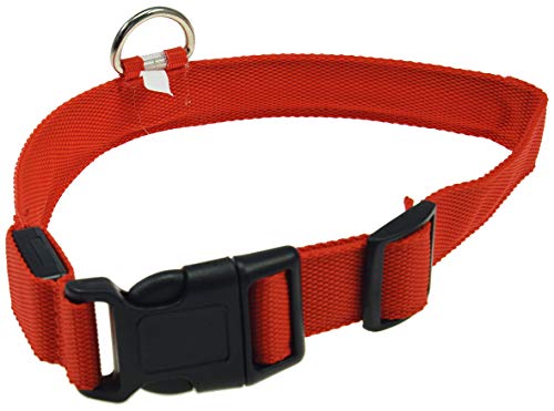 ChiliTec Hunde Halsband mit LED Beleuchtung Sicherheitslicht, Stabiler Clip und gehärteter Metallring, 28-60 cm Größe S - XL, rot (L = 45-52cm, ROT) von ChiliTec