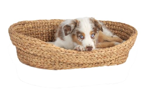 Chillroi Katzenkörbchen aus Wasserhyazinthe mit Kissen – Umweltfreundliches, Flauschiges Katzenbett – Katzennest für den Rückzugsort – In Zwei Größen (L) von Chillroi