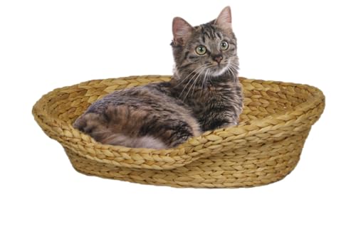 Chillroi Katzenkörbchen aus Wasserhyazinthe mit Kissen – Umweltfreundliches, Flauschiges Katzenbett – Katzennest für den Rückzugsort – In Zwei Größen (M) von Chillroi