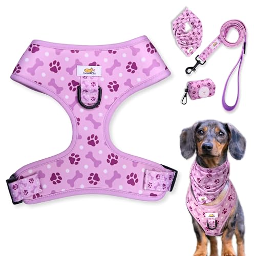 ChimiPets Geschirr-Set, Größe M, Royal Pawka Dot) von ChimiPets
