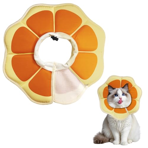 Halskrause Katze,Einstellbarer Halskrause Katze Halsband,Wiederherstellung Halsband Weich Kragen Cone Nach Operation und Verletzungen für Welpen, Kleine Hunde und Katzen (M) von Chingcoo
