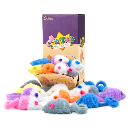 Chiwava 36 STK 4,5 cm Bonbonfarbene Pelzmäuse Katzenspielzeug Rasselmaus Kätzchen Interaktives Spielzeug Sortierte Farbe von Chiwava