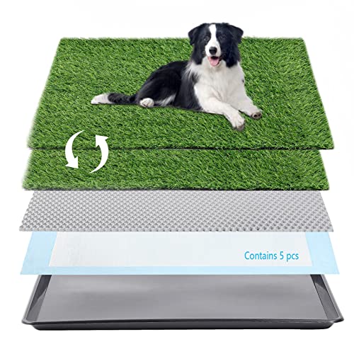 Choicons Hunde-Grasunterlage mit Tablett, Arificial Grass Patch für Hunde, Töpfchentablett, künstliches Gras für Hunde zum Pinkeln auf Rasen mit Tablett für Katzentoilette, Welpen, Töpfchentraining, Choicons Hunde-Grasunterlage mit Tablett, Arificial Grass Patch für Hunde, Töpfchentablett, künstliches Gras für Hunde zum Pinkeln auf Rasen mit Tablett für Katzentoilette, Welpen, Töpfchentraining, von Choicons