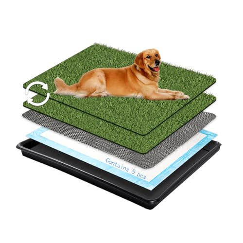 Choicons Hundegras-Pad mit Tablett, groß, 80 x 60 cm, großes Töpfchen, Haustiergras, für Wohnungs- und Terrassentraining, Außen- und Innengebrauch von Choicons