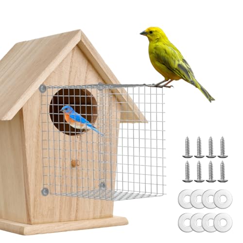 Chordobe Bluebird Hausschutz – 2 Stück Metalldraht-Eingangslochschutz für östliche Vogelhäuser und Babys sicher von Chordobe
