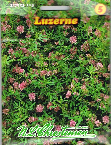 Chrestensen Luzerne ,liefert hochwertiges, nährstoffreiches Futter, mehrjährig, Gründüngung Chrestensen Luzerne ,liefert hochwertiges, nährstoffreiches Futter, mehrjährig, Gründüngung von Chrestensen