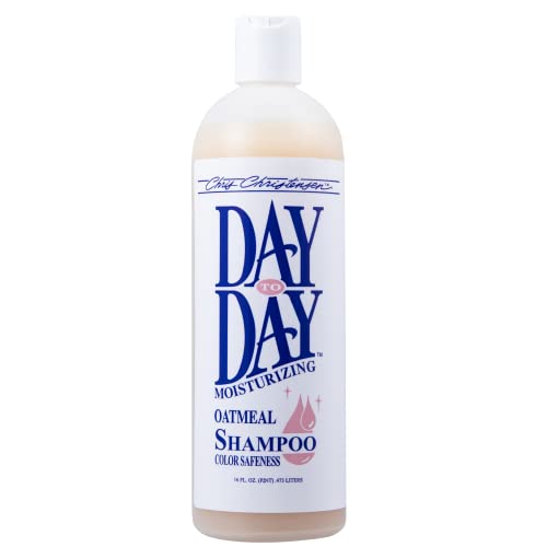 Chris Christensen Day to Day Feuchtigkeitsspendendes Shampoo - Für tägliche Haarpflege | Haarpflege-Grundausstattung, 473ml von Chris Christensen