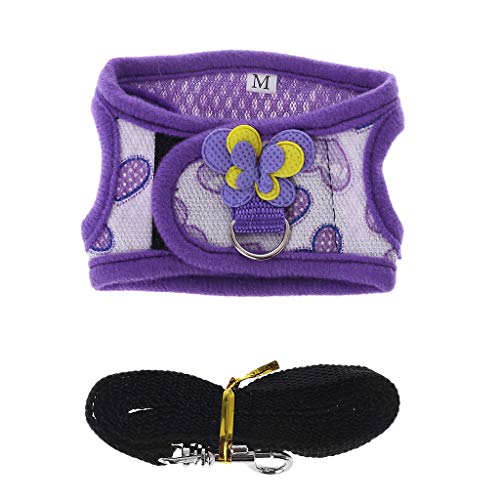 Christol Halsband für kleine Haustiere Leine Geschirr Weste verstellbar bequemes Lauftraining für kleine Haustiere Meerschweinchen Frettchen Chinchilla Hamster Christol Halsband für kleine Haustiere Leine Geschirr Weste verstellbar bequemes Lauftraining für kleine Haustiere Meerschweinchen Frettchen Chinchilla Hamster von Christol