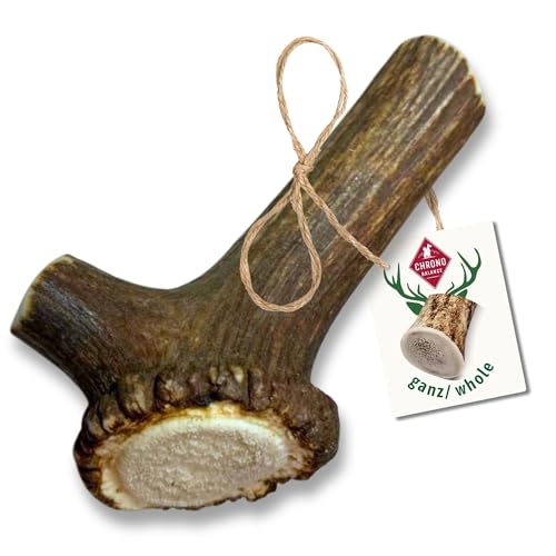 ChronoBalance® L Kaustange für Hunde ganze Stücke als Kauspielzeug: 100% Hirschgeweih für Hunde, Hundespielzeug, Leckerli Zahnpflege, Kausnack, Geweih Kauknochen, Natürlich ohne Zusätze (1er Set) von ChronoBalance