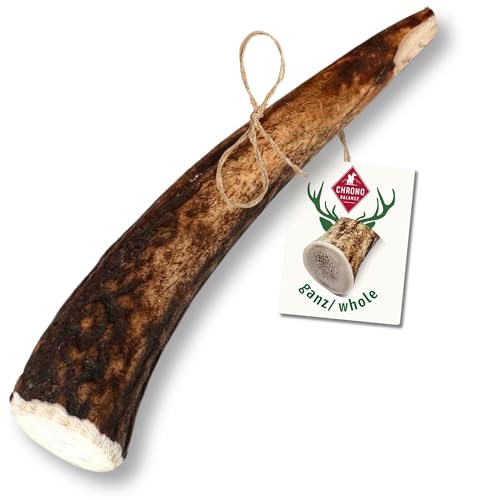 ChronoBalance® M Kaustange für Hunde ganze Stücke als Kauspielzeug: 100% Hirschgeweih für Hunde, Hundespielzeug, Leckerli Zahnpflege, Kausnack, Geweih Kauknochen, Natürlich ohne Zusätze (1er Set) von ChronoBalance