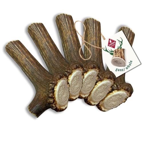 ChronoBalance® L Kaustange für Hunde ganze Stücke als Kauspielzeug: 100% Hirschgeweih für Hunde, Hundespielzeug, Leckerli Zahnpflege, Kausnack, Geweih Kauknochen, Natürlich ohne Zusätze (5er Set) von ChronoBalance