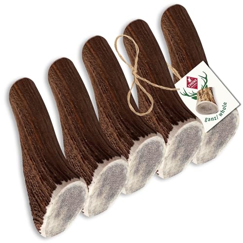 ChronoBalance® XL Kaustange für Hunde ganze Stücke als Kauspielzeug: 100% Hirschgeweih für Hunde, Hundespielzeug, Leckerli Zahnpflege, Kausnack, Geweih Kauknochen, Natürlich ohne Zusätze (5er Set) von ChronoBalance