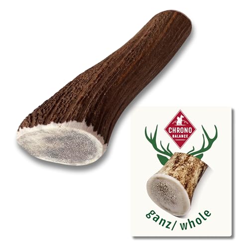 ChronoBalance® XL Kaustange für Hunde ganze Stücke als Kauspielzeug: 100% Hirschgeweih für Hunde, Hundespielzeug, Leckerli Zahnpflege, Kausnack, Geweih Kauknochen, Natürlich ohne Zusätze (1er Set) von ChronoBalance