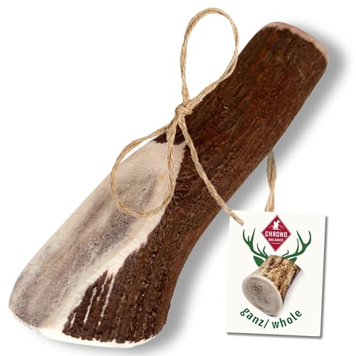 ChronoBalance® XXL Kaustange für Hunde ganze Stücke als Kauspielzeug: 100% Hirschgeweih für Hunde, Hundespielzeug, Leckerli Zahnpflege, Kausnack, Geweih Kauknochen, Natürlich ohne Zusätze (1er Set) von ChronoBalance