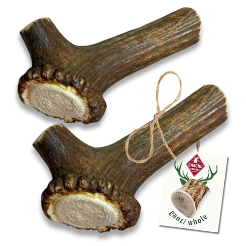 ChronoBalance® L Kaustange für Hunde ganze Stücke als Kauspielzeug: 100% Hirschgeweih für Hunde, Hundespielzeug, Leckerli Zahnpflege, Kausnack, Geweih Kauknochen, Natürlich ohne Zusätze (2er Set) von ChronoBalance