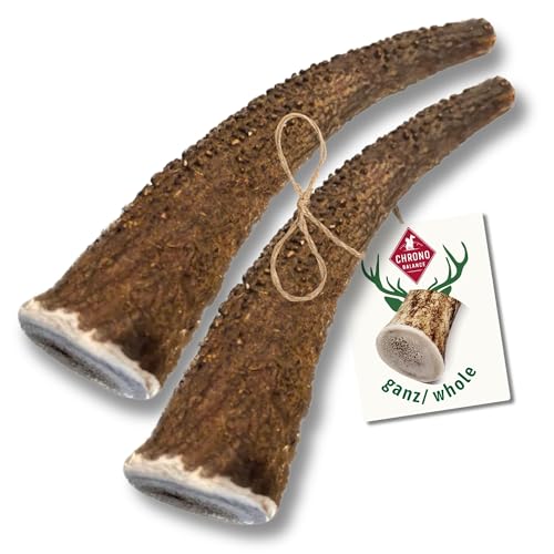 ChronoBalance® S Kaustange für Hunde ganze Stücke als Kauspielzeug: 100% Hirschgeweih für Hunde, Hundespielzeug, Leckerli Zahnpflege, Kausnack, Geweih Kauknochen, Natürlich ohne Zusätze (2er Set) von ChronoBalance