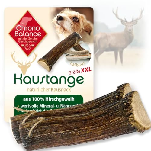 ChronoBalance® Geweih Kaustange für Hunde: 2er Set XXL Kauspielzeug Zahnpflege Kaustab aus 100% Hirschgeweih: Hundespielzeug für Zahnhygiene Kauknochen natürlich sicher robust von ChronoBalance