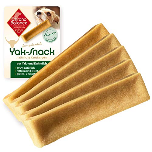 ChronoBalance® Kaukäse XL (5er Set) Hartkäse Kausnack für Hunde, Käse-Kauknochen, glutenfrei, getreidefrei, Kaustangen für kleine Hunde und große Hunde, Hundeknochen zur Zahnpflege, Stressabbau von ChronoBalance