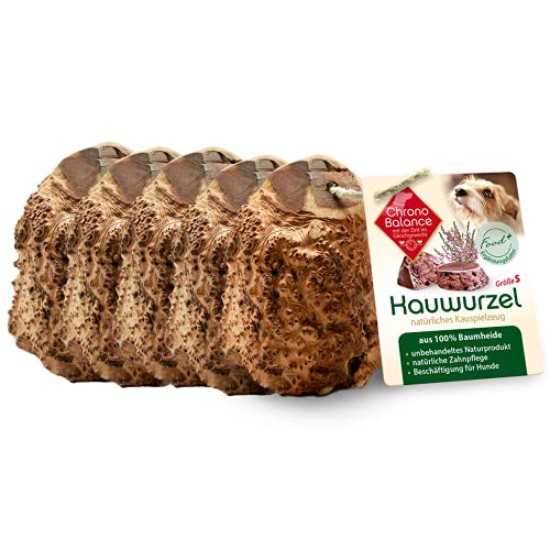 ChronoBalance® Kauwurzel für Hunde: 5er Set S Kauspielzeug Zahnpflege Hundespielzeug aus 100% Baumheide Wurzelholz: Kaustange Leckerli zur Gebissstärkung: natürlich ohne Zusätze langlebig sicher von ChronoBalance