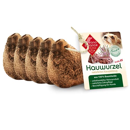 ChronoBalance® Kauwurzel für Hunde XS (5er Set) Kauspielzeug Zahnpflege Hundespielzeug aus 100% Baumheide Wurzelholz: Kaustange Leckerli zur Gebissstärkung: natürlich ohne Zusätze, langlebig von ChronoBalance