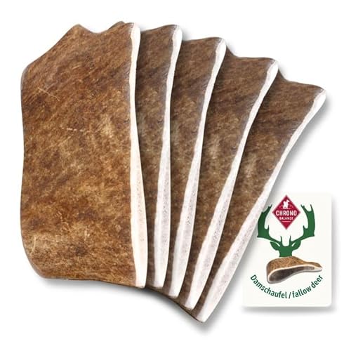 ChronoBalance® L Damwild Hirschgeweih für Hunde Kauspielzeug: 100% Hirschgeweih echt Hundespielzeug zur Zahnpflege, Hunde Kauartikel, Kausnack Hund mit Mineralstoffen & Nährstoffen, L (5er Set) von ChronoBalance