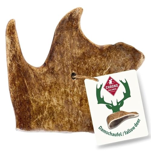 ChronoBalance® M Damwild Hirschgeweih für Hunde Kauspielzeug: 100% Hirschgeweih echt Hundespielzeug zur Zahnpflege, Hunde Kauartikel, Kausnack Hund mit Mineralstoffen & Nährstoffen, M (1er Set) von ChronoBalance