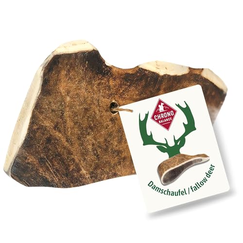 ChronoBalance® S Kaugeweih Damhirsch für Hunde als Kauspielzeug: 100% Geweih Abwurfstange Kaustange Hundespielzeug zur Zahnpflege, natürlicher Kausnack, Mineralstoffe & Nährstoffe von ChronoBalance