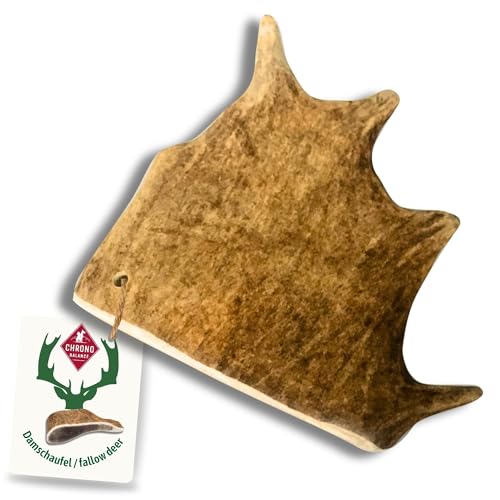 ChronoBalance® XL Damwild Hirschgeweih für Hunde Kauspielzeug: 100% Hirschgeweih echt Hundespielzeug zur Zahnpflege, Hunde Kauartikel, Kausnack Hund mit Mineralstoffen & Nährstoffen, XL (1er Set) von ChronoBalance