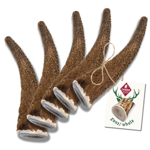 ChronoBalance® S Kaustange für Hunde ganze Stücke als Kauspielzeug: 100% Hirschgeweih für Hunde, Hundespielzeug, Leckerli Zahnpflege, Kausnack, Geweih Kauknochen, Natürlich ohne Zusätze (5er Set) von ChronoBalance