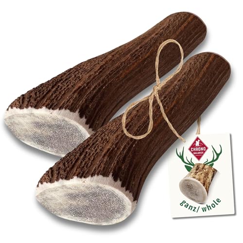 ChronoBalance® XL Kaustange für Hunde ganze Stücke als Kauspielzeug: 100% Hirschgeweih für Hunde, Hundespielzeug, Leckerli Zahnpflege, Kausnack, Geweih Kauknochen, Natürlich ohne Zusätze (2er Set) von ChronoBalance