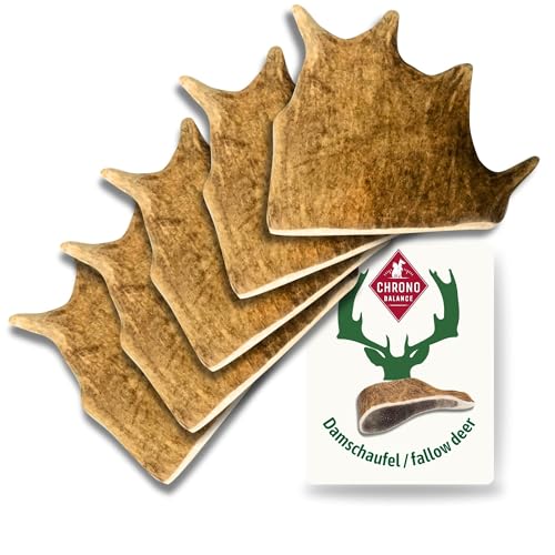 ChronoBalance® XL Damwild Hirschgeweih für Hunde Kauspielzeug: 100% Hirschgeweih echt Hundespielzeug zur Zahnpflege, Hunde Kauartikel, Kausnack Hund mit Mineralstoffen & Nährstoffen, XL (5er Set) von ChronoBalance