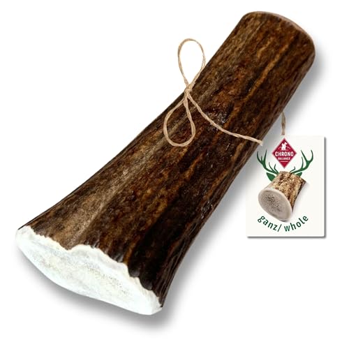 ChronoBalance® XS Kaustange für Hunde ganze Stücke als Kauspielzeug: 100% Hirschgeweih für Hunde, Hundespielzeug, Leckerli Zahnpflege, Kausnack, Geweih Kauknochen, Natürlich ohne Zusätze (1er Set) von ChronoBalance