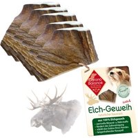 ChronoBalance Elch Geweih Snack 5xL, 5x von ChronoBalance