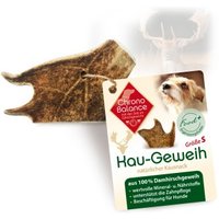 ChronoBalance natürliches Damhirsch Kaugeweih S ChronoBalance natürliches Damhirsch Kaugeweih S von ChronoBalance